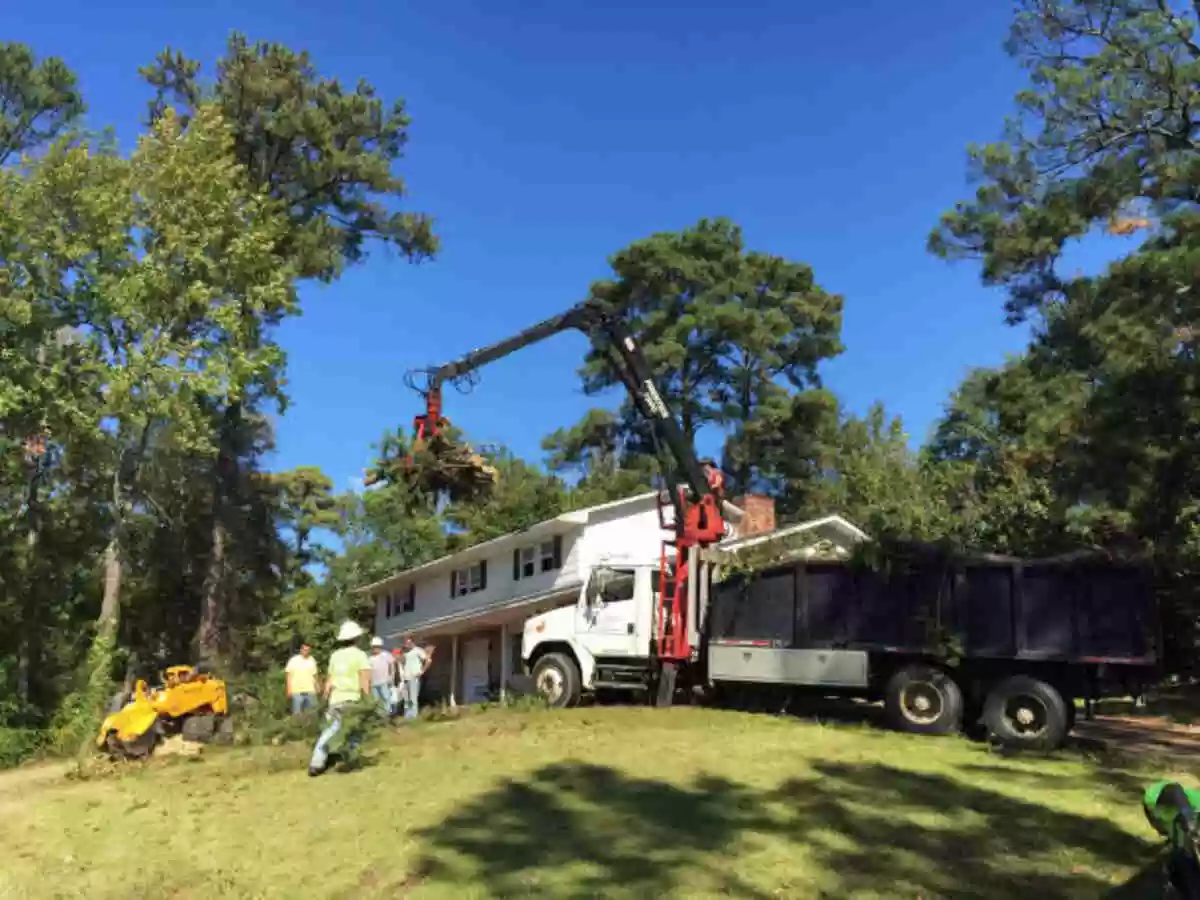 Evergreen Tree Service